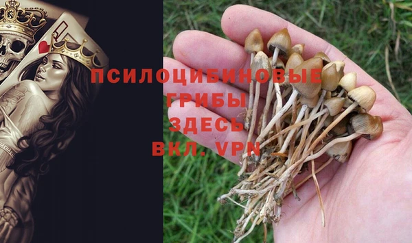 скорость Белокуриха